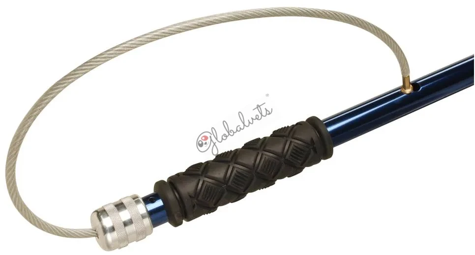 Dual Release Catch Pole