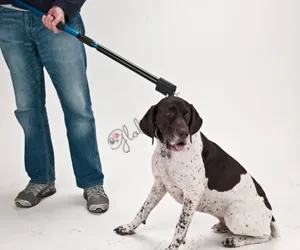 Dual Release Catch Pole