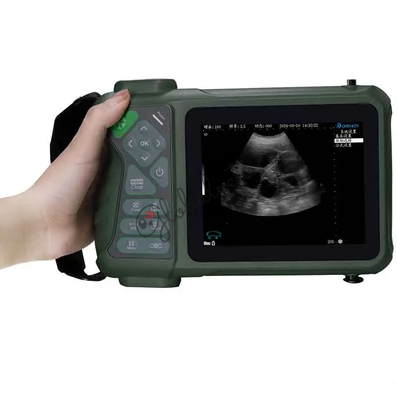 Handheld Veterinary Ultrasound for Swine &amp; Sheep Pregnancy Testing