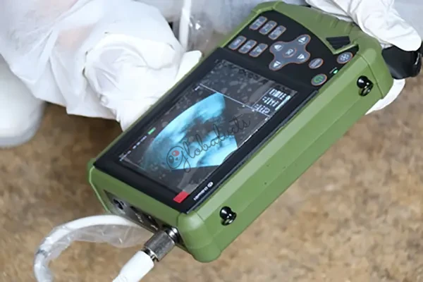 Best Handheld Veterinary Ultrasound Diagnosis and Pregnancy Monitoring Machine for Pigs, Sheep, and Dogs