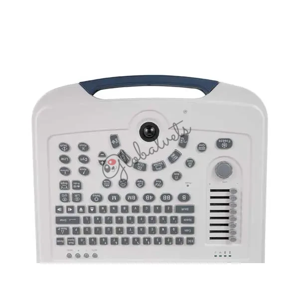 Basic Laptop Full Digital Veterinary Ultrasound System