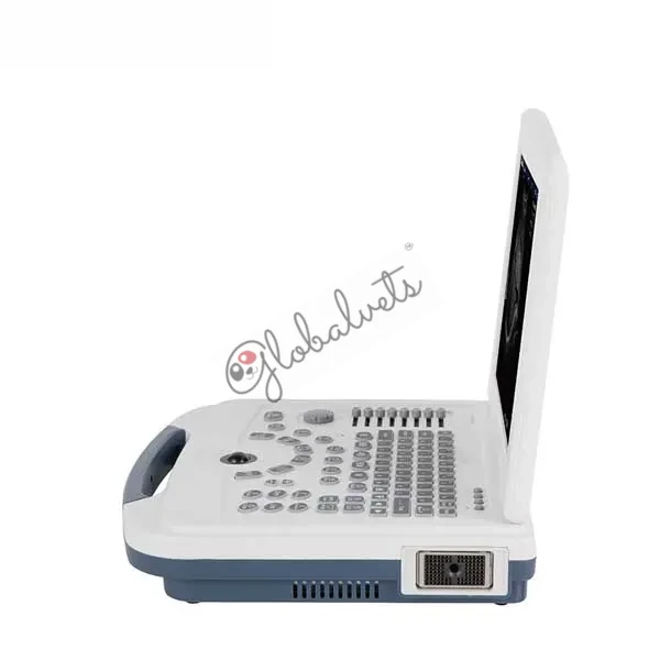 Basic Laptop Full Digital Veterinary Ultrasound System