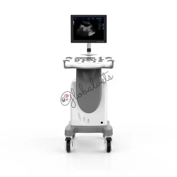 Pc Platform Trolley Full Digital Veterinary Ultrasound Diagnostic System