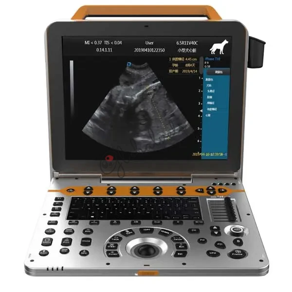 P50-VET Spectral Doppler Imaging Speckle Reduce Imaging Ultrasonic System