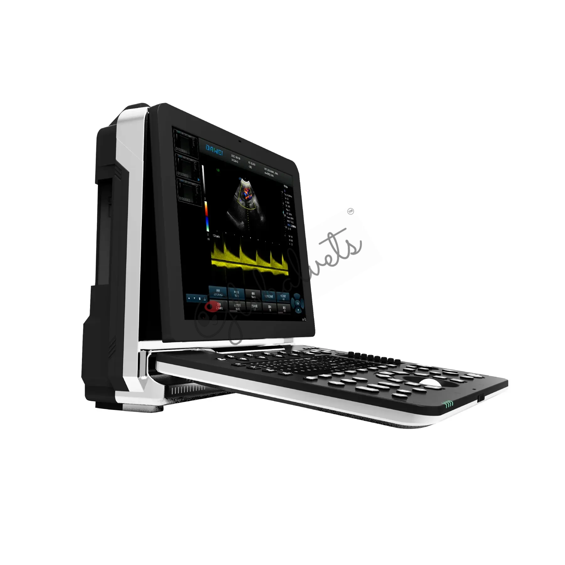 New Launch Portable Veterinary Color Doppler Ultrasonic Diagnosic System