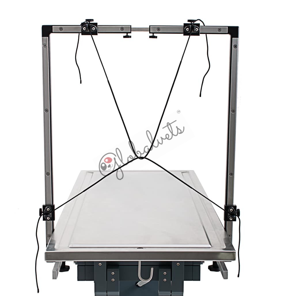 BOSS - Brachycephalic and Oropharyngeal Surgical Stand