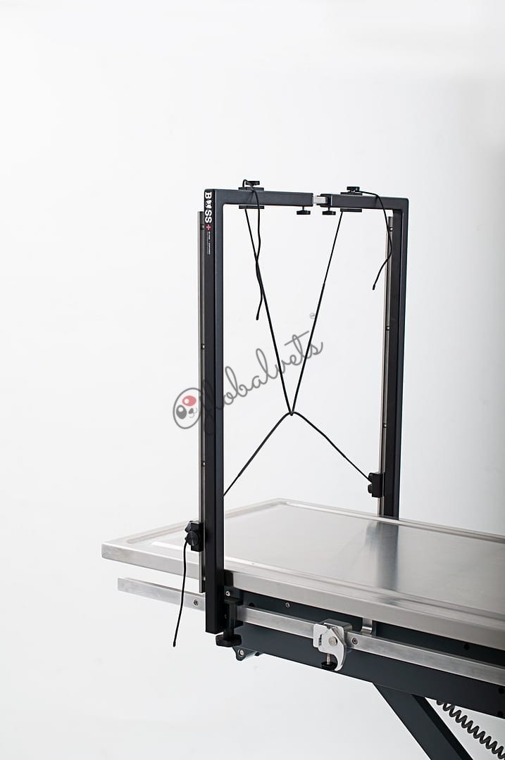 BOSS+ Brachycephalic and Oropharyngeal Surgical Stand + #10