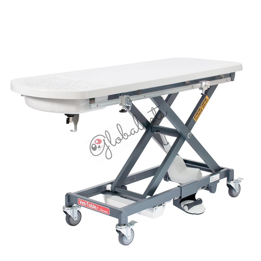 Scissor Table with Fiberglass Dental Top